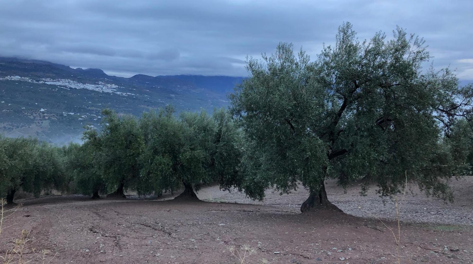 Villa La Fuente Mondrón Dış mekan fotoğraf