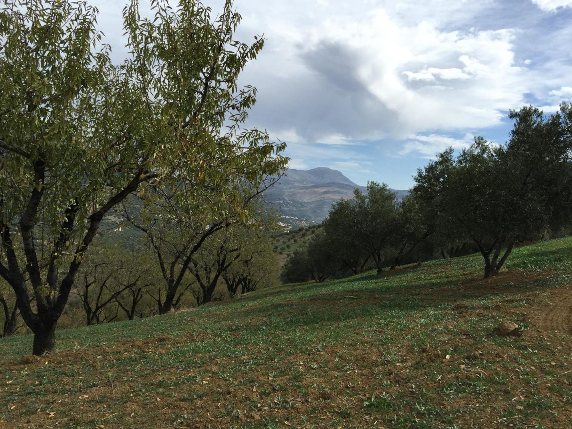 Villa La Fuente Mondrón Dış mekan fotoğraf