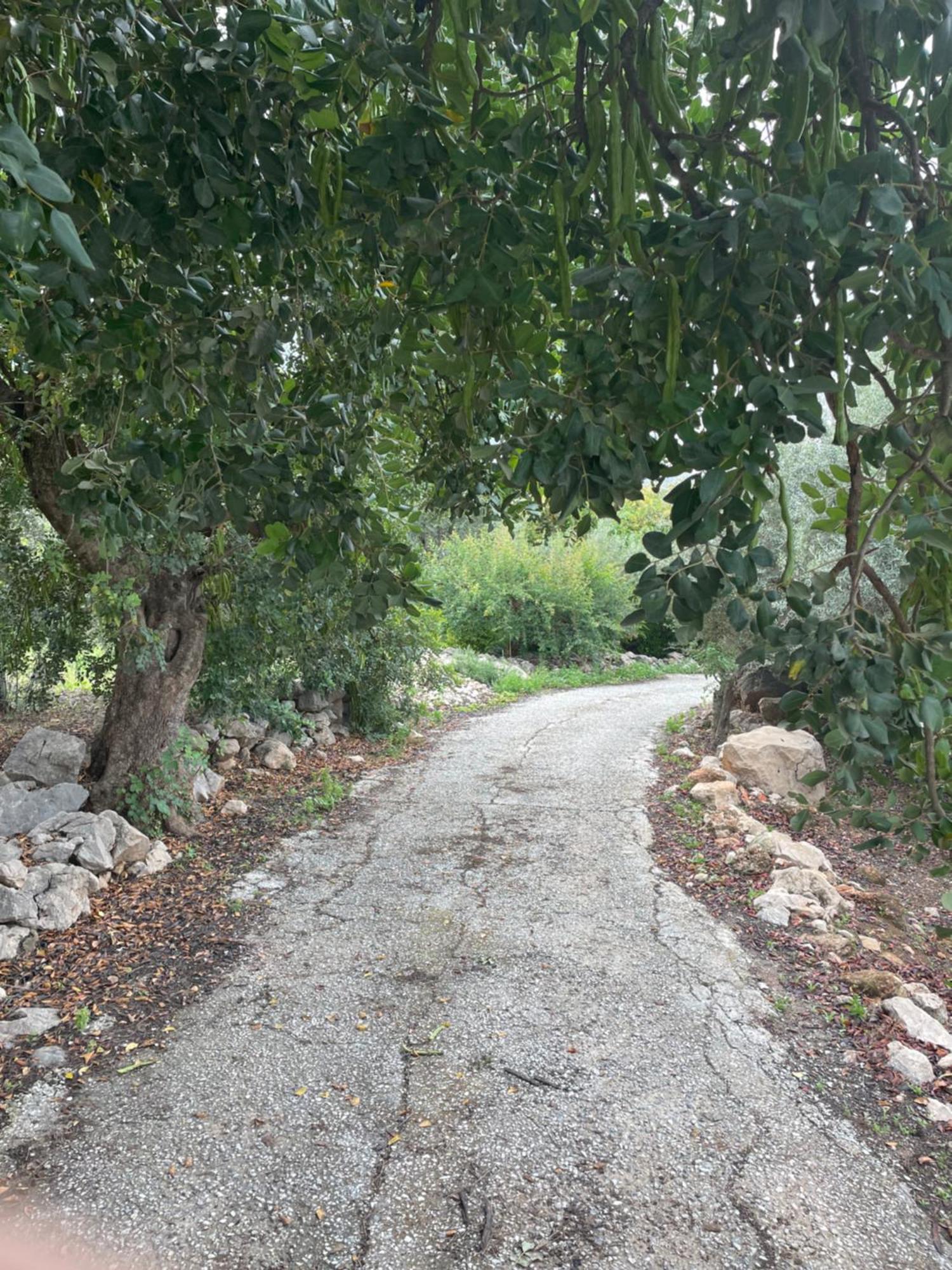 Villa La Fuente Mondrón Dış mekan fotoğraf
