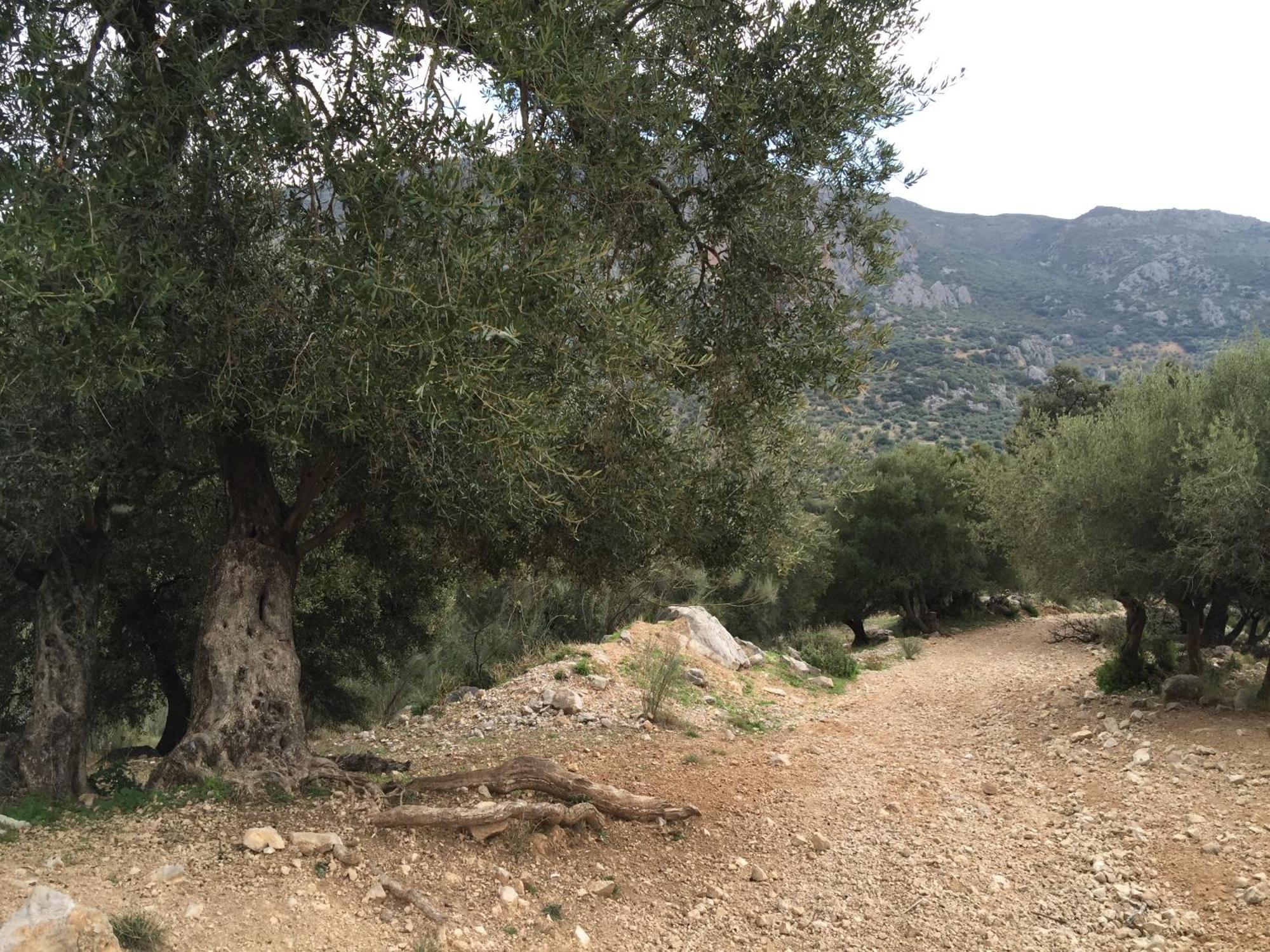 Villa La Fuente Mondrón Dış mekan fotoğraf