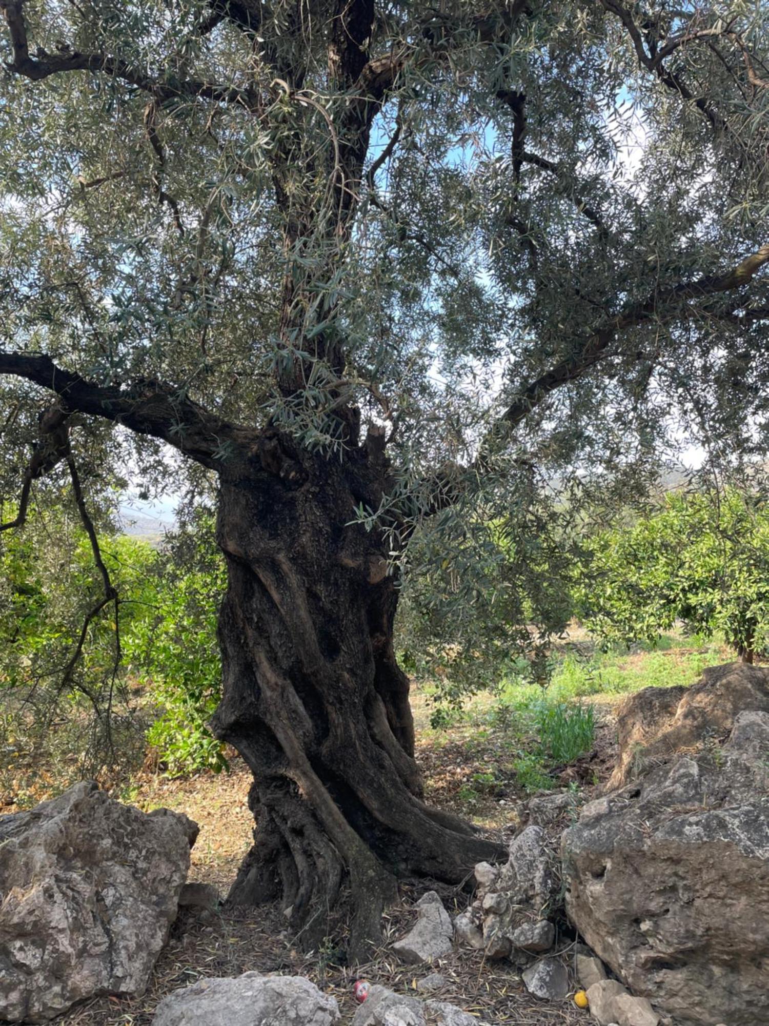 Villa La Fuente Mondrón Dış mekan fotoğraf