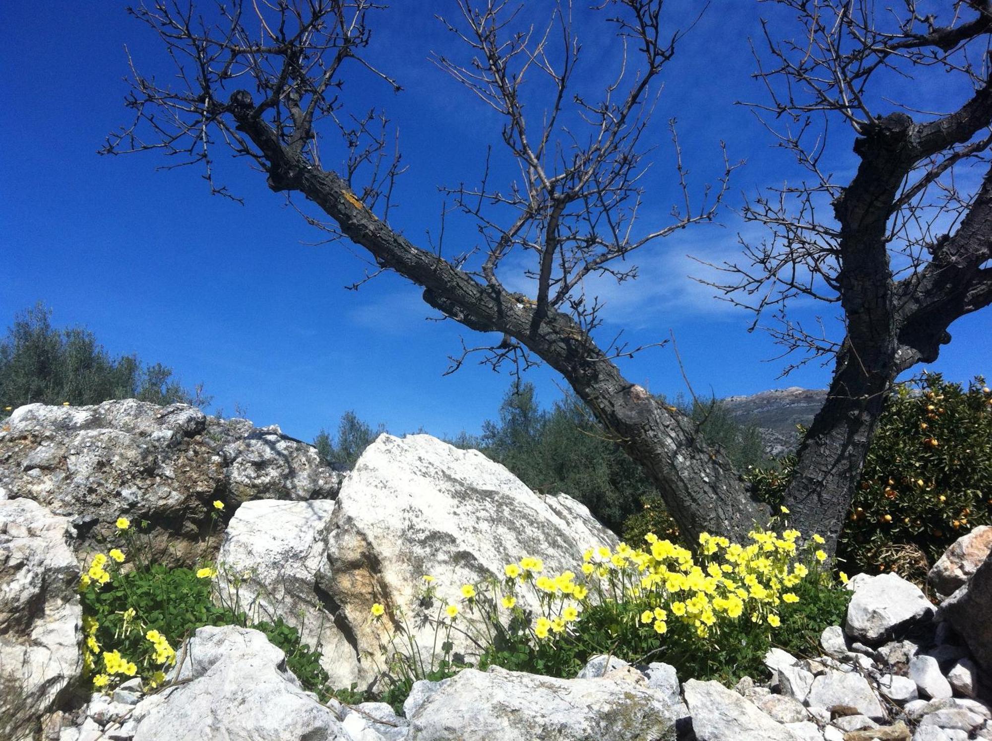 Villa La Fuente Mondrón Dış mekan fotoğraf