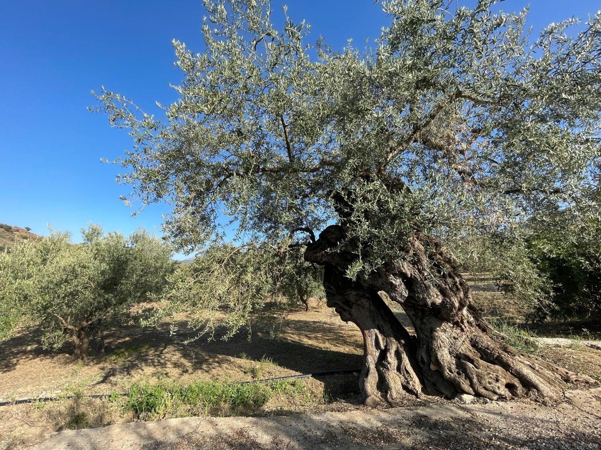 Villa La Fuente Mondrón Dış mekan fotoğraf